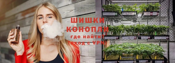 каннабис Алексеевка