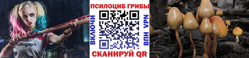 Псилоцибиновые грибы мухоморы  где найти наркотики  Новошахтинск 