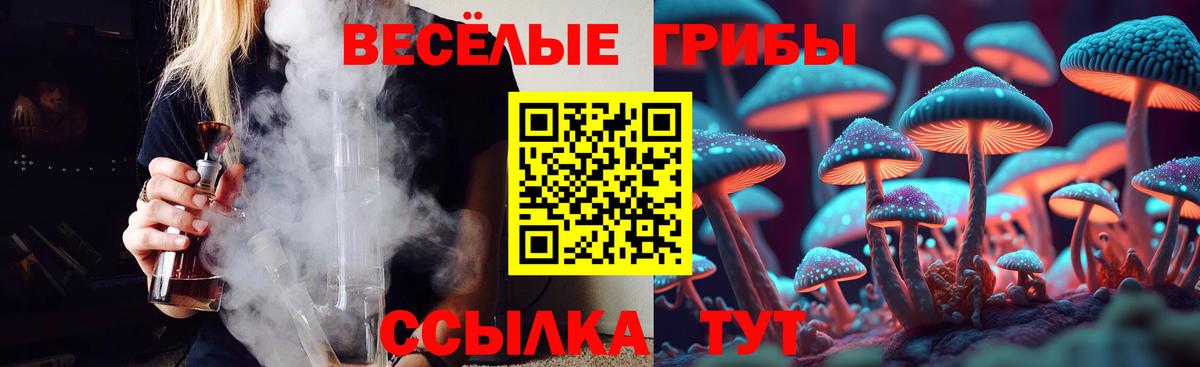 Псилоцибиновые грибы MAGIC MUSHROOMS  Галлюциногенные грибы Psilocybine cubensis  Новошахтинск  Вход с VPN 